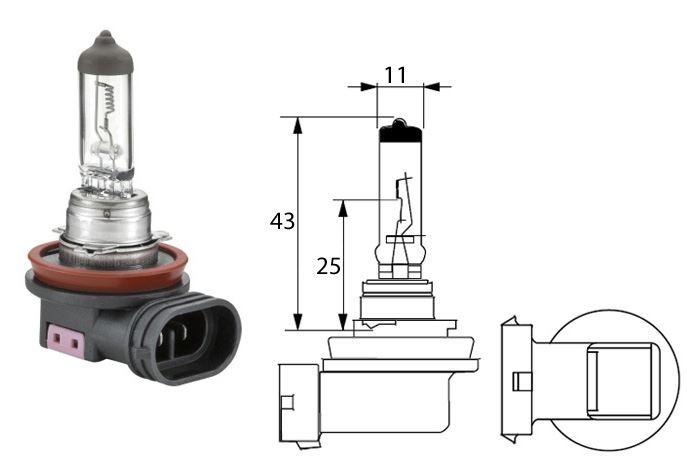 ŻARÓWKA SAM  H11 24V 70W HELLA