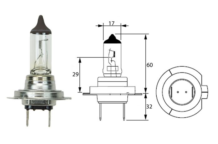 ŻARÓWKA SAM  H7 12V 55W